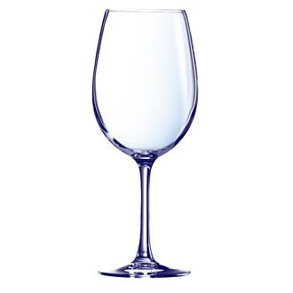 8853468 cabernet tulip